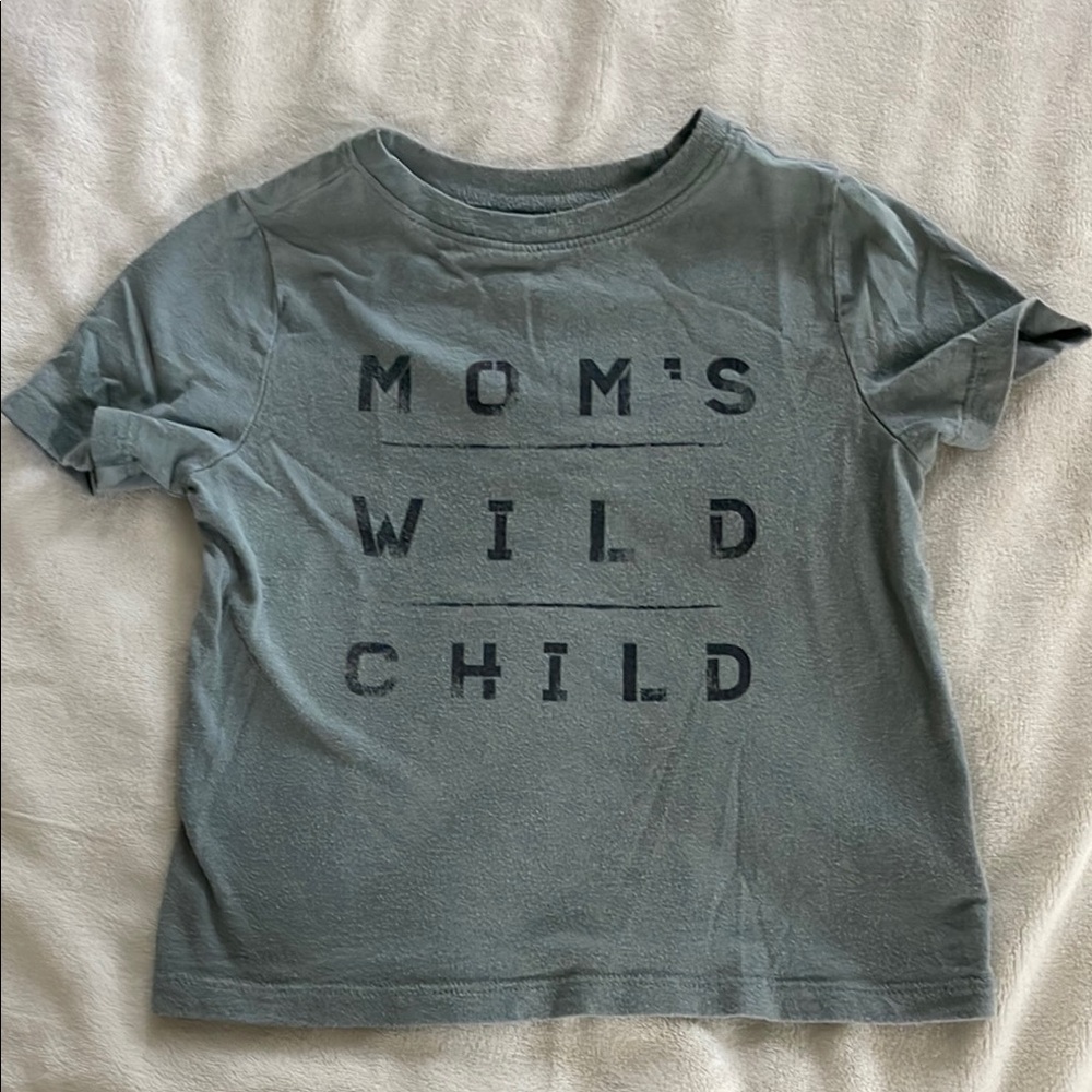 Kids Gray T-Shirt - "Mom's Wild Child"
